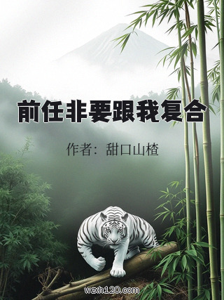 前任非要跟我复合