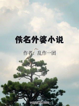 佚名外婆小说