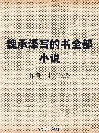 魏承泽写的书全部小说