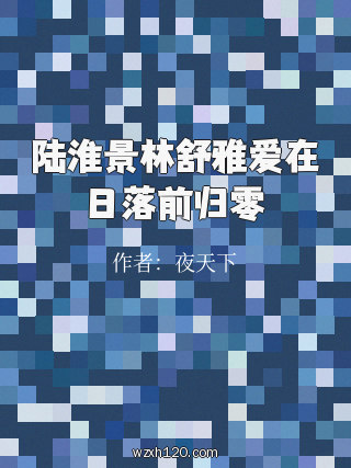 陆淮景林舒雅爱在日落前归零