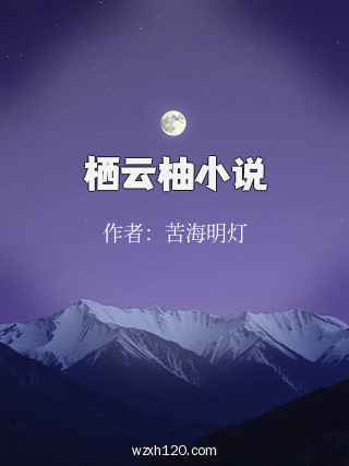 栖云柚小说