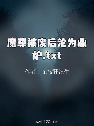 魔尊被废后沦为鼎炉.txt