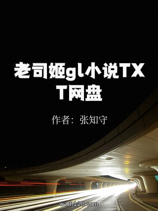 老司姬gl小说TXT网盘