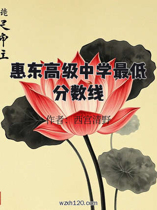 惠东高级中学最低分数线