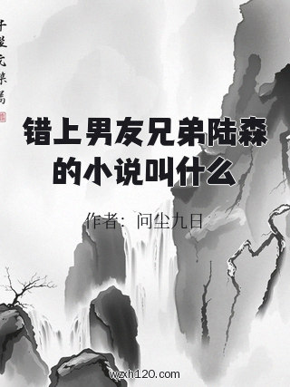 错上男友兄弟陆森的小说叫什么