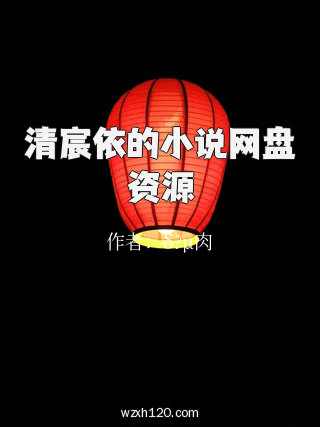 清宸依的小说网盘资源
