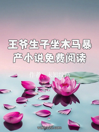 王爷生子坐木马暴产小说免费阅读