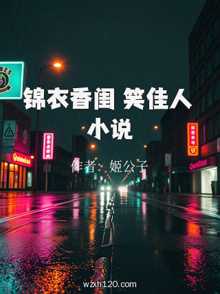 锦衣香闺 笑佳人 小说