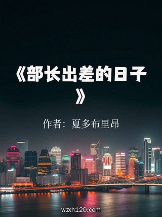 《部长出差的日子》