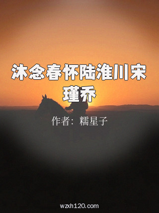 沐念春怀陆淮川宋瑾乔