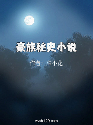 豪族秘史小说