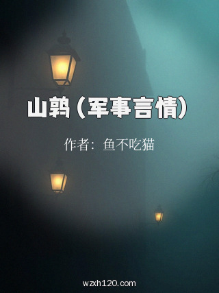 山鹑(军事言情)