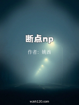 断点np