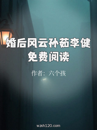 婚后风云孙茹李健免费阅读