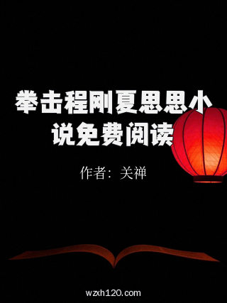 拳击程刚夏思思小说免费阅读