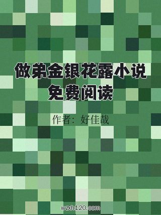 做弟金银花露小说免费阅读