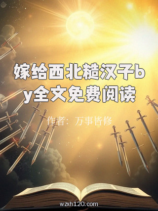 嫁给西北糙汉子by全文免费阅读