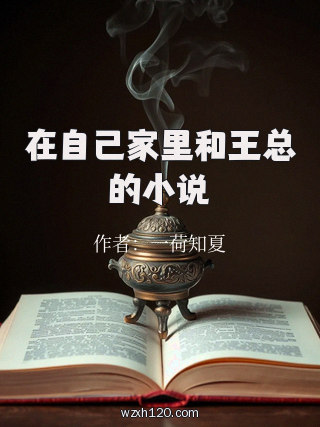 在自己家里和王总的小说