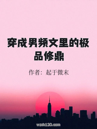 穿成男频文里的极品修鼎