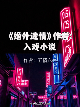 《婚外迷情》作者:入戏小说