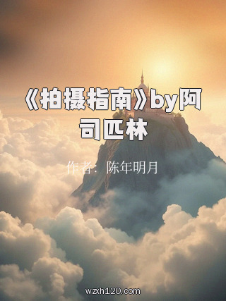 《拍摄指南》by阿司匹林