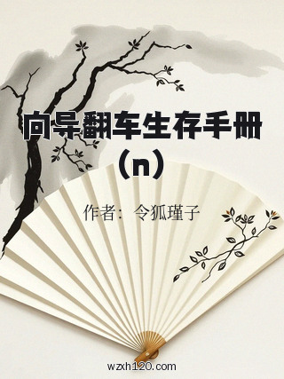 向导翻车生存手册(n)