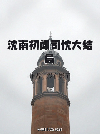 沈南初闻司忱大结局