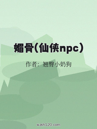 媚骨(仙侠npc)