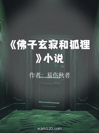 《佛子玄寂和狐狸》小说