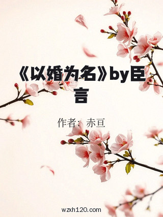 《以婚为名》by臣言