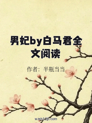 男妃by白马君全文阅读