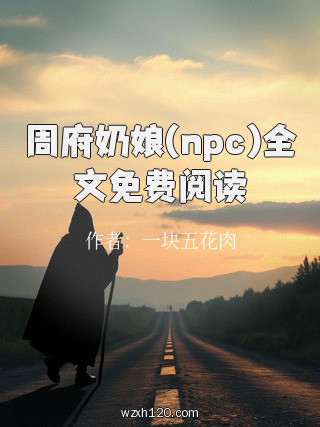 周府奶娘(npc)全文免费阅读