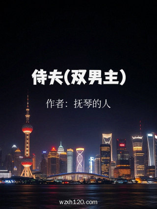 侍夫(双男主)