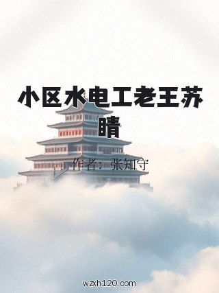 小区水电工老王苏睛