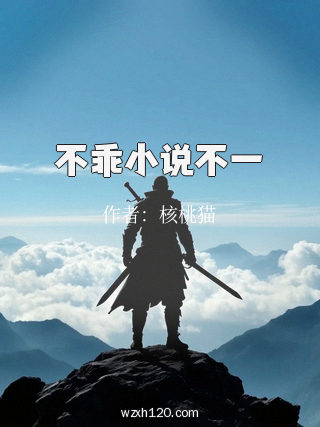 不乖小说不一