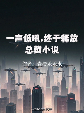 一声低吼,终于释放总裁小说