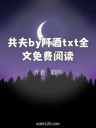 共夫by阡酒txt全文免费阅读