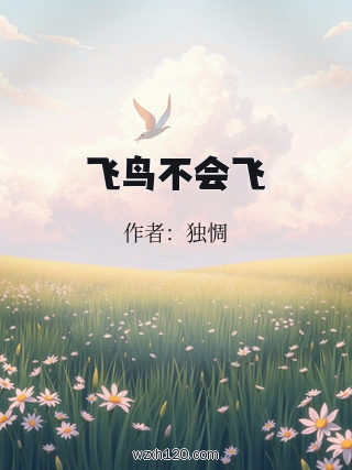 飞鸟不会飞