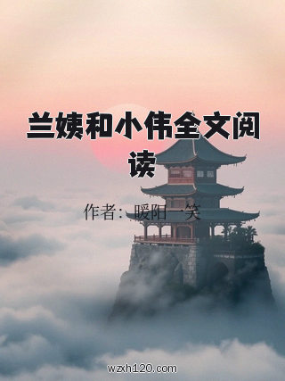 兰姨和小伟全文阅读