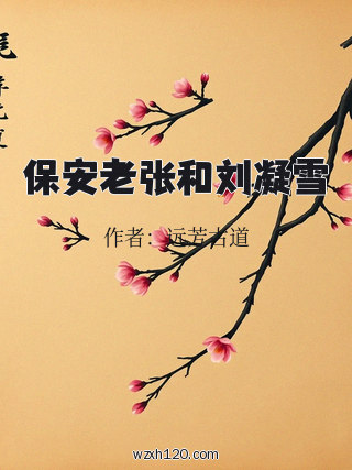 保安老张和刘凝雪
