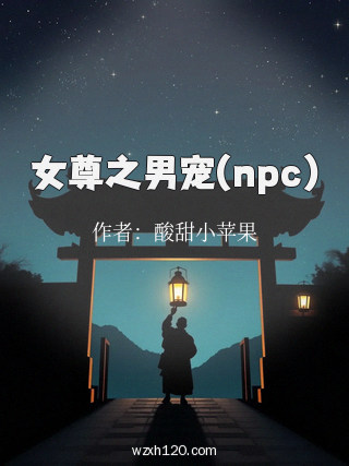 女尊之男宠(npc)
