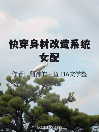 快穿身材改造系统女配