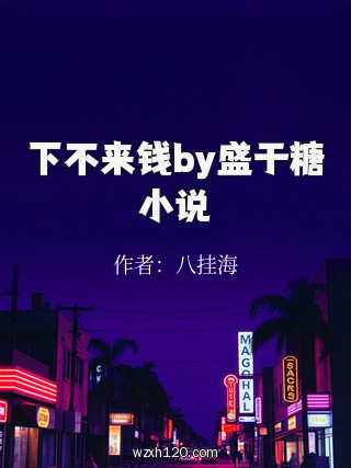 下不来钱by盛于糖小说