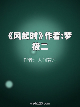 《风起时》作者:梦筱二