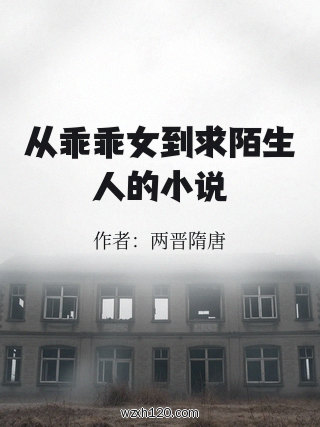 从乖乖女到求陌生人的小说