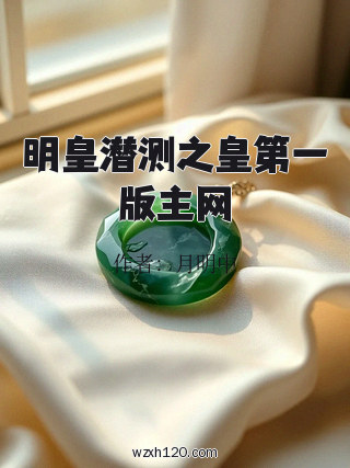 明皇潜测之皇第一版主网