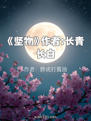 《坚物》作者:长青长白