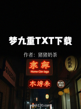 梦九重TXT下载