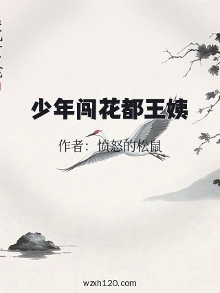 少年闯花都王姨