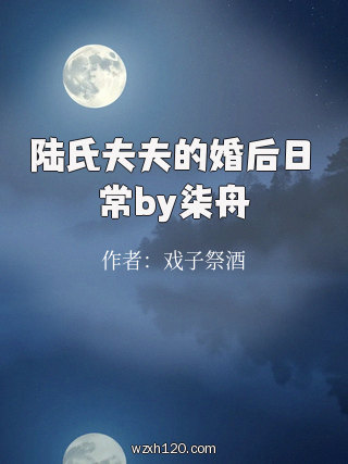陆氏夫夫的婚后日常by柒舟